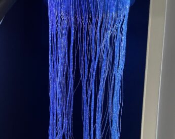 Sensory Room